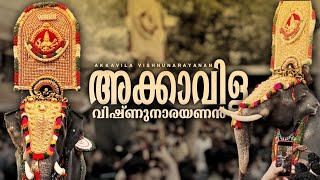 ആക്കാവിള വിഷ്ണുനാരായണനും മാമ്പിയും🔥akkavila vishnu narayanan Mambi