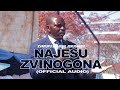 Zvapupu ZvaJesu Jerusalem - NaJesu Zvinogona (Official Audio)