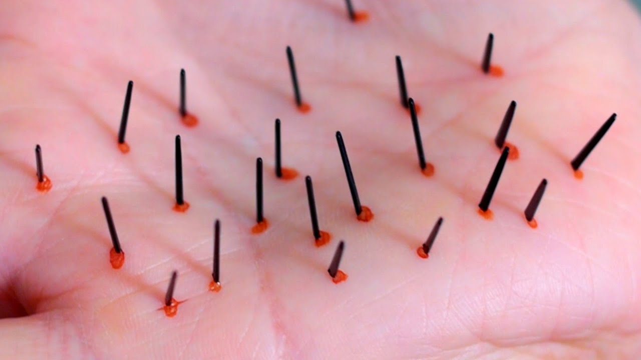 Stuck By Cactus Youtube