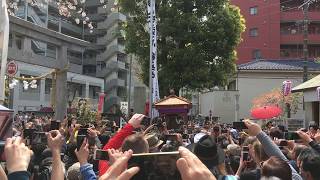 かなまら祭り 2019年（平成最後） かなまら大神輿