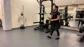 TRX Assisted Squat