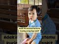 Adek ima kasian lihat kucing sakit #kucingkampung #kucing #catlover #bayilucu #funny #shortvideo