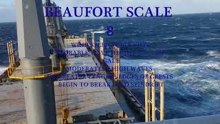 Beaufort Scale 0 - 12 Crossing Pacific Ocean