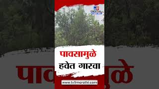 Sindhudurg | सिंधुदुर्गमध्ये मान्सून पूर्व पावसाच्या सरी, पावसामुळे हवेत गारवा