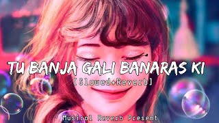 Tu Banja Gali Banaras Ki [Slowed & Reverb] Asees Kaur - Lo-fi Beats | Musical Reverb