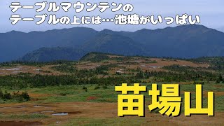 【日帰り登山】日本百名山！秋の苗場山(新潟県・長野県)2145ｍに登る♪