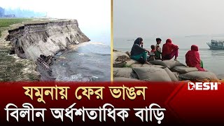 যমুনায় ফের ভাঙন, বিলীন অর্ধশতাধিক বাড়ি | Sirajganj | Jamuna River | News | Desh TV