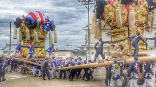 2024.10.15 土居町 上野地区 太鼓台 端管合わせ 関川小学校 かきくらべ 入場(上野本郷·泉·内之川·関)愛媛県四国中央市 土居町