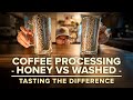 Coffee Processing: Honey VS Washed