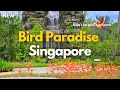 Bird Paradise Singapore Mandai Bird Park Tour