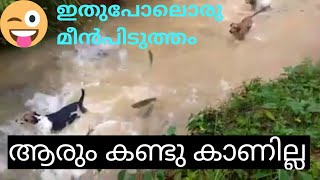 ഇതുപോലെ മീൻപിടിക്കുന്നത്  ജീവിതത്തിൽ ആരും  കണ്ടു കാണില്ല 🔥🔥🔥 😄 😆 🤣 😂