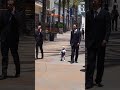 baby bodyguards protect their clients in public on black friday