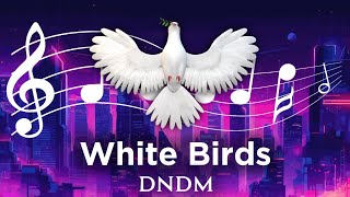 DNDM - White Birds || Deep Feeling Music || 2024 Deep Feeling Remix || Emotional High Deep Remix