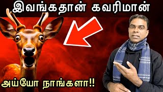 கவரி 👉சவரி👉சவுரி முடி| கவரி மான் பரம்பரையில் இவ்வளவு தகவலா |