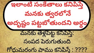 ఇలాంటి సంకేతాలు కనిపిస్తే మనకు త్వరలోనే అదృష్టం పడుతుంది | జీవితసత్యాలు #4 | #ధర్మసందేహాలు