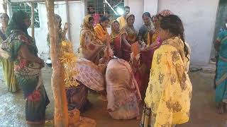 cg bihaw madwa naach kanker bastar @koytur-bastar