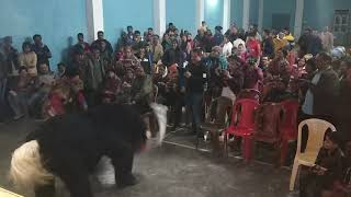 Yak dance at shyo village, TAWANG