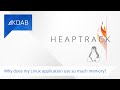Why does my Linux application use so much memory? Memory profiling on Linux demo using Heaptrack