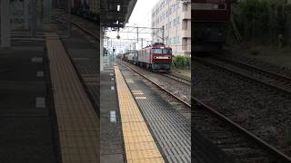 常磐線の貨物列車#貨物列車