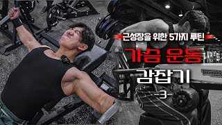 가슴 근육 발달의 핵심은 3세트입니다 | 감잡기 3