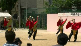 京都さくらよさこい2011　二日目　みのおよさこい踊り子隊　\