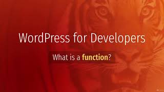 What is a function ? wordpress english tutorial