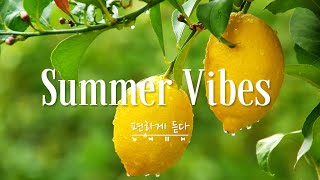 [Playlist] 상큼한 여름 노래 🍋 적당히 신나고 청량한 팝송 모음 || Summer Vibes || 편하게 듣다