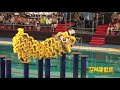 马来西亚光艺龙狮体育会 kwong ngai lion and dragon dance association