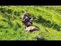 24 hrs in Whanganui NZ Hunting Fallow Deer & Trout Fishing | Catch & Cook 2024 HD