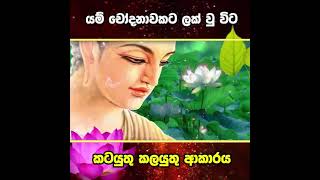 නොකරපු වැරදි වලට චෝදනා එල්ල වුන විට..🍃🌸