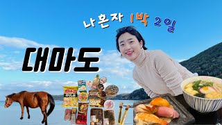 🇯🇵나혼자 니나호 타고 대마도 히타카츠 1박 2일 여행브이로그2 │ 전동 자전거, 토요코인 히타카츠, 밸류마트 오우라 쇼핑, 미나토 스시