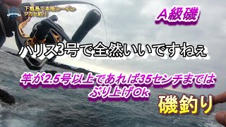 下甑島釣行　絶好釣　後半編　入れ食いタイムはハリス3号でＯＫ