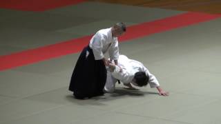 第26回浦安市合気道演武大会 千野先生 26th Urayasu Demo Chino Sensei