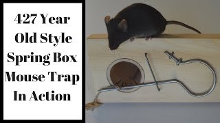 427 Year Old Style Spring Box Mouse Trap In Action. Mascall's Mouse Trap.