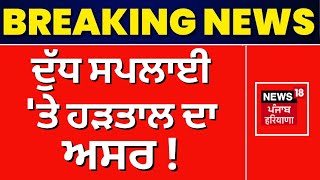 Verka Milk Supply | ਦੁੱਧ ਸਪਲਾਈ 'ਤੇ ਹੜਤਾਲ ਦਾ ਅਸਰ ! | Truck Driver Strike | Breaking News