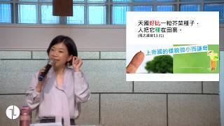 2020年2月16日主日禮拜直播：Elisha牧師主講「活在上帝國」系列講道—釋放小小芥菜種的大能力