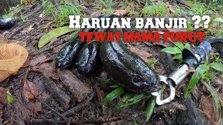 HARUAN BANJIR | EP16