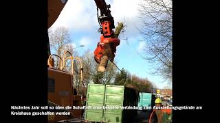 Für den Hessentag in Korbach: Schweres Gerät macht ganze Fichten platt