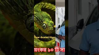 Most Dangerous snake in the world #shorts #viral