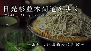 【日光】杉並木街道を歩いて、美味しいお蕎麦を堪能！