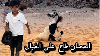 الحصان طاح على الخيال😨🐎||ورعد طاح من العسيف (يوم الطيحات)