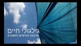 גלגולי חיים - ארבעה חודשים ראשונים