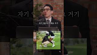 🏌️골프 초보는 ❗️꼭 알고 있어야 당하지 않습니다!🔥🐍⛳️🙅🏻‍♂️