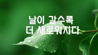 날이 갈수록 더 새로워지다 (고후 4:14-18)  미션블레싱즈