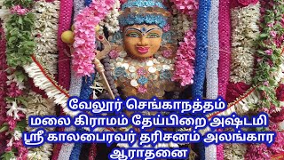 வேலூர் செங்காநத்தம் மலை கிராமம் தேய்பிறை அஷ்டமி ஸ்ரீ கால பைரவர் தரிசனம் அலங்கார ஆராதனை