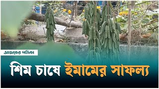 লঞ্চ কর্মচারী বনে গেলেন কৃষক, শিম চাষে ইমামের চোখ ধাঁধানো সফল্য | Ajker Patrika