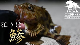 【釣り】アジングで鯵を釣りたいのに、全く釣れない男の末路。