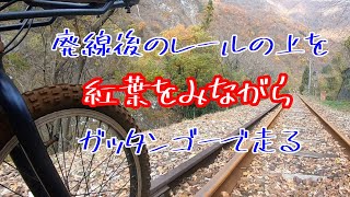 廃線後のレールの上を自転車で走る レールマウンテンバイクGattan Go!! 渓谷コース　岐阜県飛騨市紅葉を見る