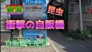 新潟に個性ありまくりの面白い自販機があった！！おまけ：ポピーとよさか（新潟）【珍＆レトロ自販機生配信】