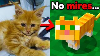 Nunca Mires a Esta Gata a Los Ojos en Minecraft...